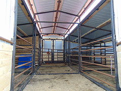 Calving Barn Alley