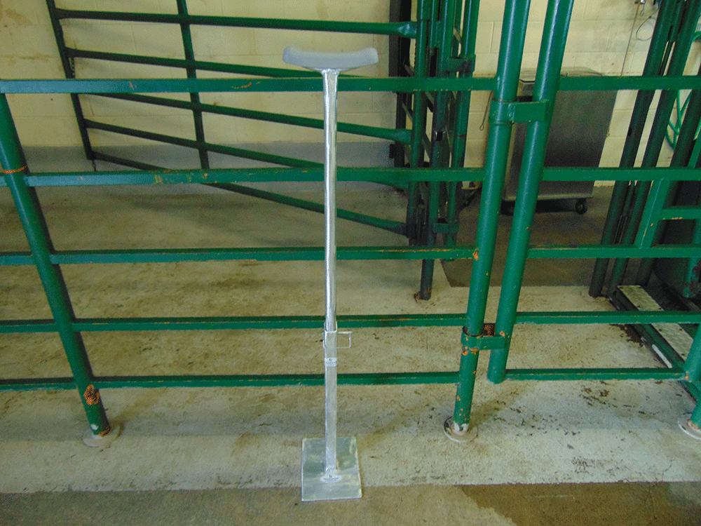 Equine Dental Stand