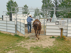 Hot Walker Gate
