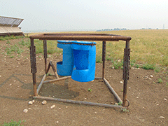 Salt Feeder