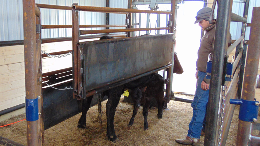 MATERNITY PEN